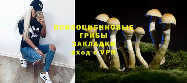 дурь Армянск