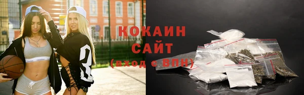 дживик Няндома