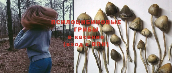 прущая мука Арсеньев